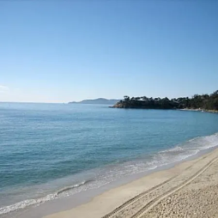 2 Pieces Avec Terrasse, Jardin, Piscine Et Parking, Proche - - Fr-1-251-517 Le Lavandou