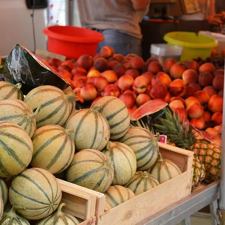 Apartamento 2 Pieces Avec Terrasse, Jardin, Piscine Et Parking, Proche - - Fr-1-251-517 *