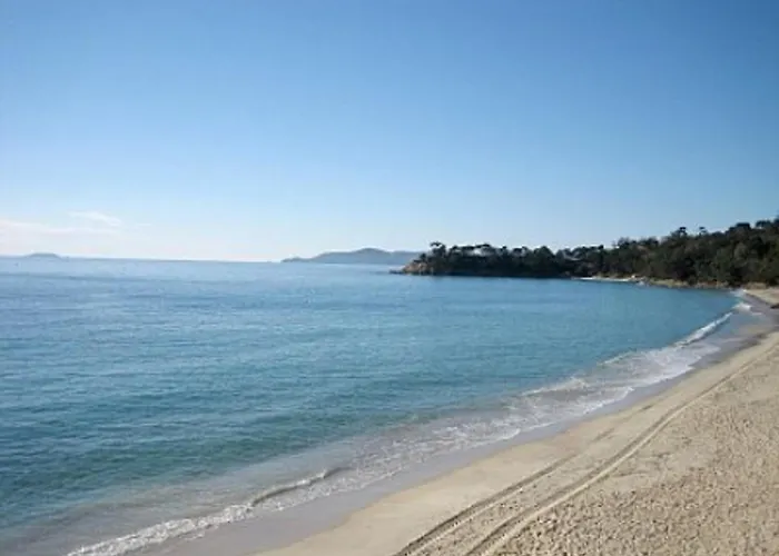 2 Pieces Avec Terrasse, Jardin, Piscine Et Parking, Proche - - Fr-1-251-517 Le Lavandou